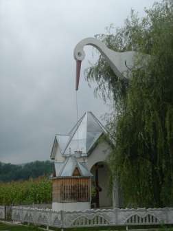 DSC07265.JPG